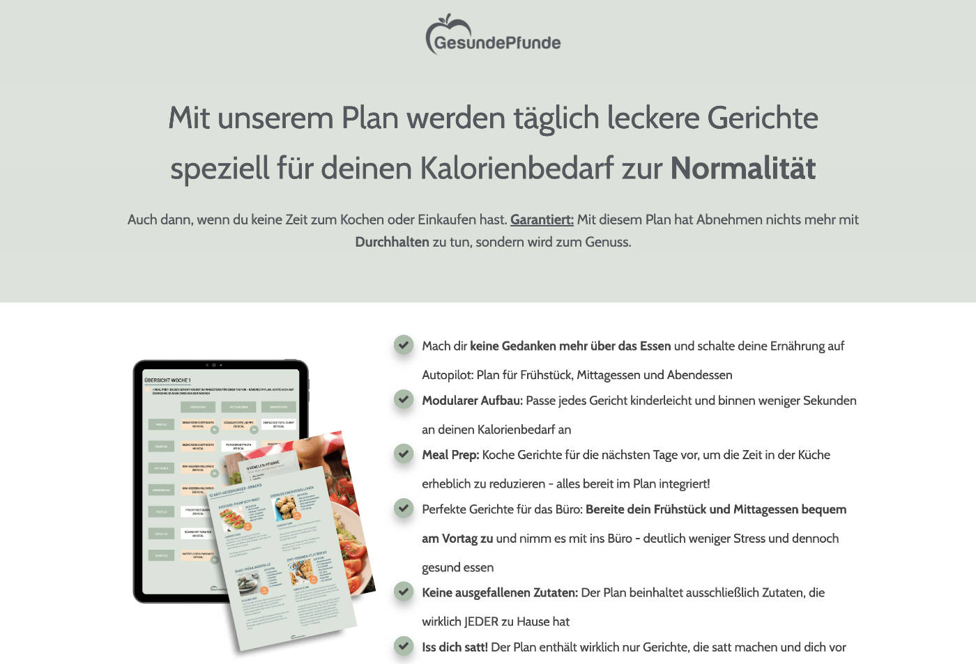 gesundepfunde-ernaehrungsplan GesundePfunde Ernährungsplan