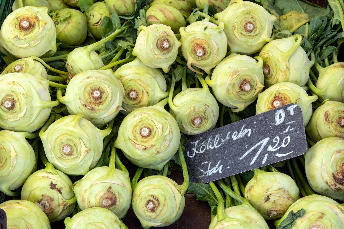 Kann man Kohlrabi einfrieren