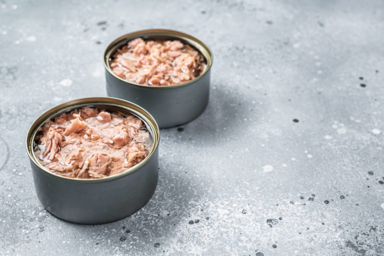 Kann man Thunfisch aus der Dose anbraten?